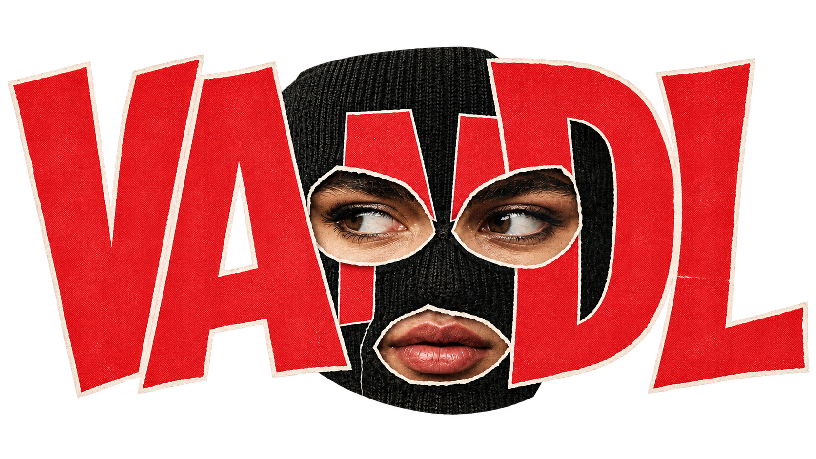 VANDL Voices against normal domestic life